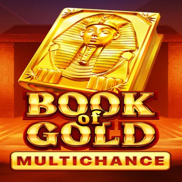 Book of Gold Multichance logo by Playson at Spinbara Casino